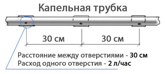 трубка